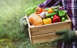 Farms