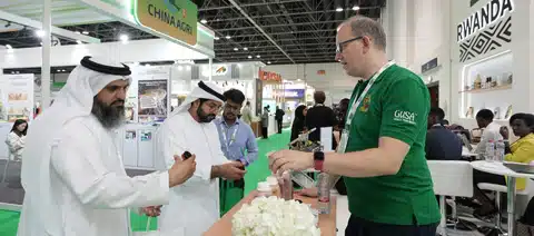 New product launches
