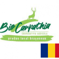 Why Exhibit 95 Group 1(4)