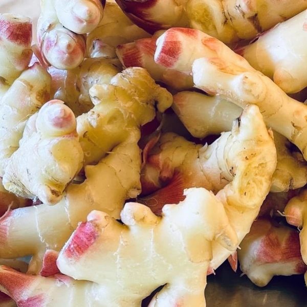 Organic Ginger